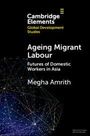 Megha Amrith: Ageing Migrant Labour, Buch