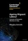 Megha Amrith: Ageing Migrant Labour, Buch