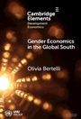 Olivia Bertelli: Gender Economics in the Global South, Buch