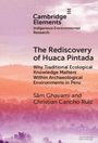 Christian Cancho Ruiz: The Rediscovery of Huaca Pintada, Buch