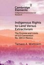 "Cambridge Elements: Indigenous Rights to Land Versus Extractivism" von Tamara A. Wattnem. Lila Landschaft im Hintergrund.
