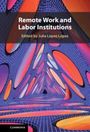 : Remote Work and Labor Institutions, Buch