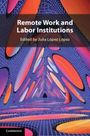 : Remote Work and Labor Institutions, Buch