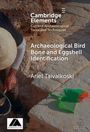 "Archaeological Bird Bone and Eggshell Identification" von Ariel Taivalkoski. Eine Person arbeitet an einem Ausgrabungsort.