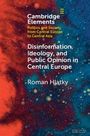 Roman Hlatky: Disinformation, Ideology, and Public Opinion in Central Europe, Buch