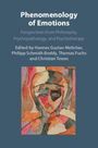 Phenomenology of Emotions, Buch