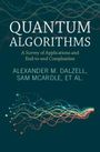 Aleksander Kubica: Quantum Algorithms, Buch