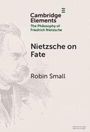 Text: "Cambridge Elements. The Philosophy of Friedrich Nietzsche. Nietzsche on Fate. Robin Small." Links ist eine Skizze von Nietzsche.
