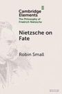 Text: „Cambridge Elements: The Philosophy of Friedrich Nietzsche. Nietzsche on Fate. Robin Small.“ Links ist eine Skizze von Nietzsche.
