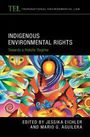 "Indigenous Environmental Rights: Towards a Holistic Regime" steht auf einem Cover mit bunter, abstrakter Kunst.