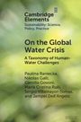 Camilla Govoni: On the Global Water Crisis, Buch