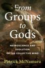 Patrick Mcnamara: From Groups to Gods, Buch