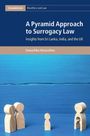 Danushika Abeyrathna: A Pyramid Approach to Surrogacy Law, Buch