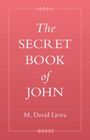 M David Litwa: The Secret Book of John, Buch