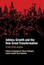 Andrea Gentili: Jobless Growth and the New Great Transformation, Buch