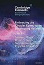 Bruno S. Sergi: Embracing the Circular Economy in Developing Nations, Buch
