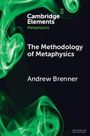 „Cambridge Elements Metaphysics“, „The Methodology of Metaphysics“ von Andrew Brenner, grüner Rauch auf dunklem Hintergrund.