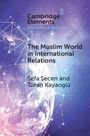 Sefa Secen: The Muslim World in International Relations, Buch