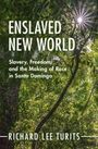 Richard Lee Turits: Enslaved New World, Buch