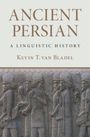 "ANCIENT PERSIAN: A LINGUISTIC HISTORY" von KEVIN T. van BLADEL. Relief mit antiken Figuren unten.