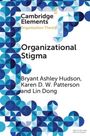 Bryant Ashley Hudson: Organizational Stigma, Buch