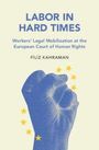 Filiz Kahraman: Labor in Hard Times, Buch