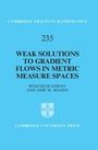 Jose M. Mazon: Weak Solutions to Gradient Flows in Metric Measure Spaces, Buch