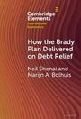 Neil Shenai: How the Brady Plan Delivered on Debt Relief, Buch