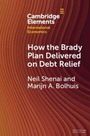 Neil Shenai: How the Brady Plan Delivered on Debt Relief, Buch
