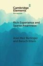 Ariel Meir Berlinger: Rich Experience and Sparse Awareness, Buch