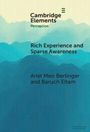 Ariel Meir Berlinger: Rich Experience and Sparse Awareness, Buch