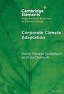 Maria-Therese Gustafsson: Corporate Climate Adaptation, Buch