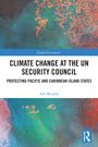 „Climate Change at the UN Security Council“, Titel eines Buchcovers mit abstrakten blauen und orangefarbenen Mustern.
