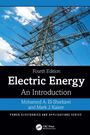 Mark J. Kaiser: Electric Energy, Buch