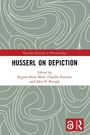 Husserl on Depiction, Buch