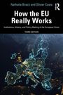 Titel: "How the EU Really Works". Autoren: Nathalie Brack, Olivier Costa. Illustration: Europa bei Nacht, leuchtende Städte.