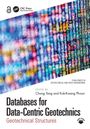 Databases for Data-Centric Geotechnics, Buch