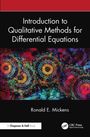 „Introduction to Qualitative Methods for Differential Equations“ von Ronald E. Mickens. Buntes, abstraktes Muster.