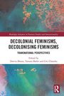 "Decolonial Feminisms, Decolonising Feminisms" mit abstraktem, farbigen Hintergrund in Blau- und Orangetönen.