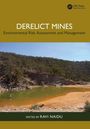 "DERELICT MINES: Environmental Risk Assessment and Management, Edited by Ravi Naidu." Ein stillgelegter Minenbereich.