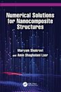 Maryam Shokravi: Numerical Solutions for Nanocomposite Structures, Buch