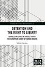 Sabina Garahan: Detention and the Right to Liberty, Buch
