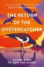 "THE RETURN OF THE OYSTERCATCHER" von Scott Weidensaul. Illustration: Vogel im Wasser mit dramatischem, orangefarbenem Himmel.