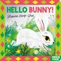 Sharon King-Chai: Hello Bunny!, Buch