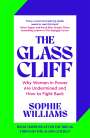 Sophie Williams: The Glass Cliff, Buch