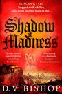 "Tuscany, 1540. Trapped with a killer, Aldo must face his fears in the... Shadow of Madness. Historische Stadtansicht darunter."
