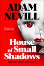 Adam Nevill: House of Small Shadows, Buch