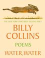 Billy Collins: Water, Water, Buch