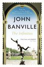 John Banville: The Infinities, Buch