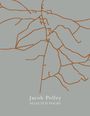 „Jacob Polley, Selected Poems“ steht unten. Oben verlaufen braune Linien auf grauem Hintergrund.
